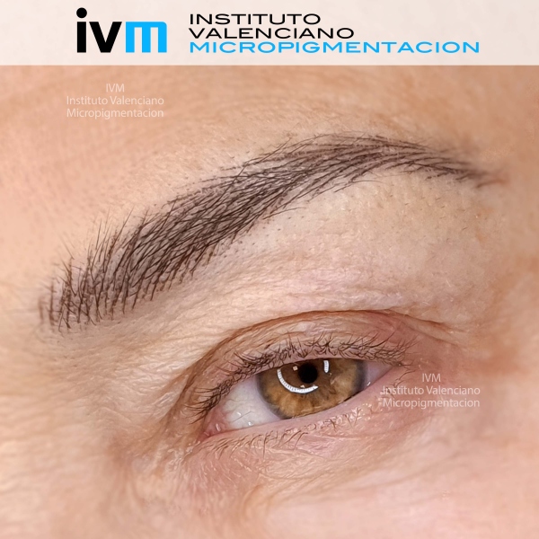 MICROPIGMENTACION-CEJAS-IVM